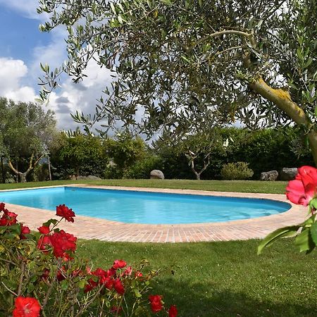 La Cavetta Country House Trevignano Romano Ngoại thất bức ảnh