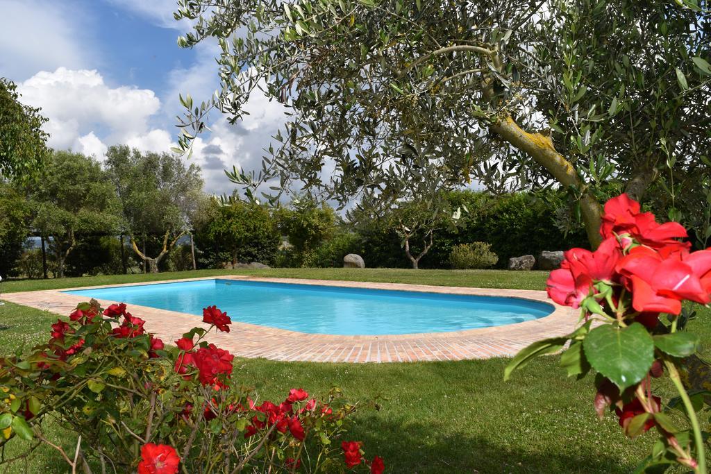 La Cavetta Country House Trevignano Romano Ngoại thất bức ảnh